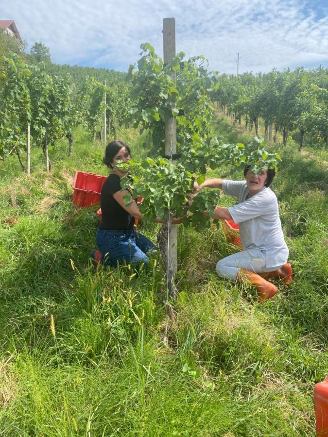 Trautenburg Stub'N Leutschach Bagian luar foto