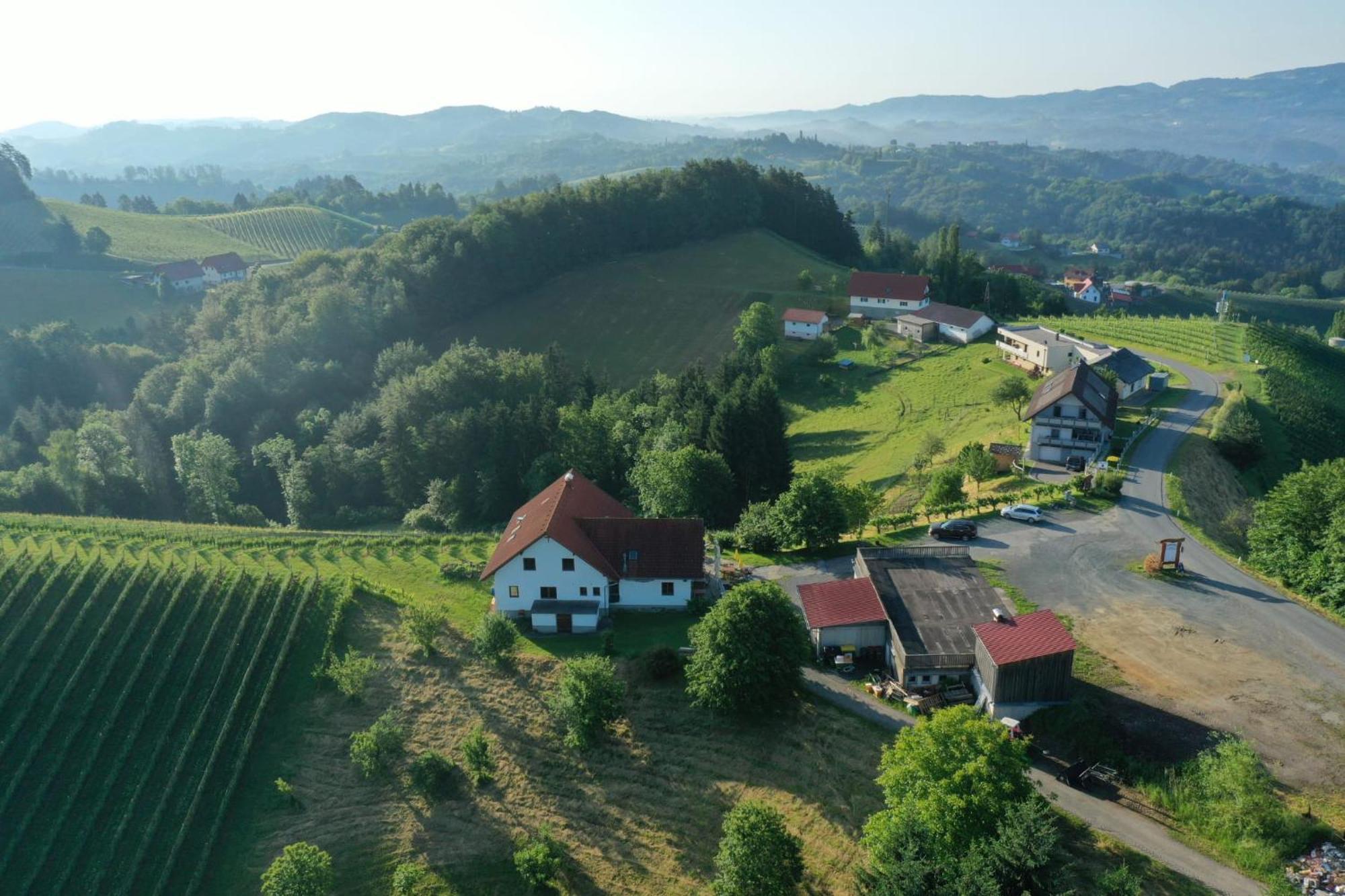 Trautenburg Stub'N Leutschach Bagian luar foto